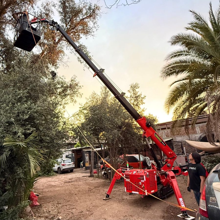 WhatsApp Image 2025-12-28 at 9.18.48 PM